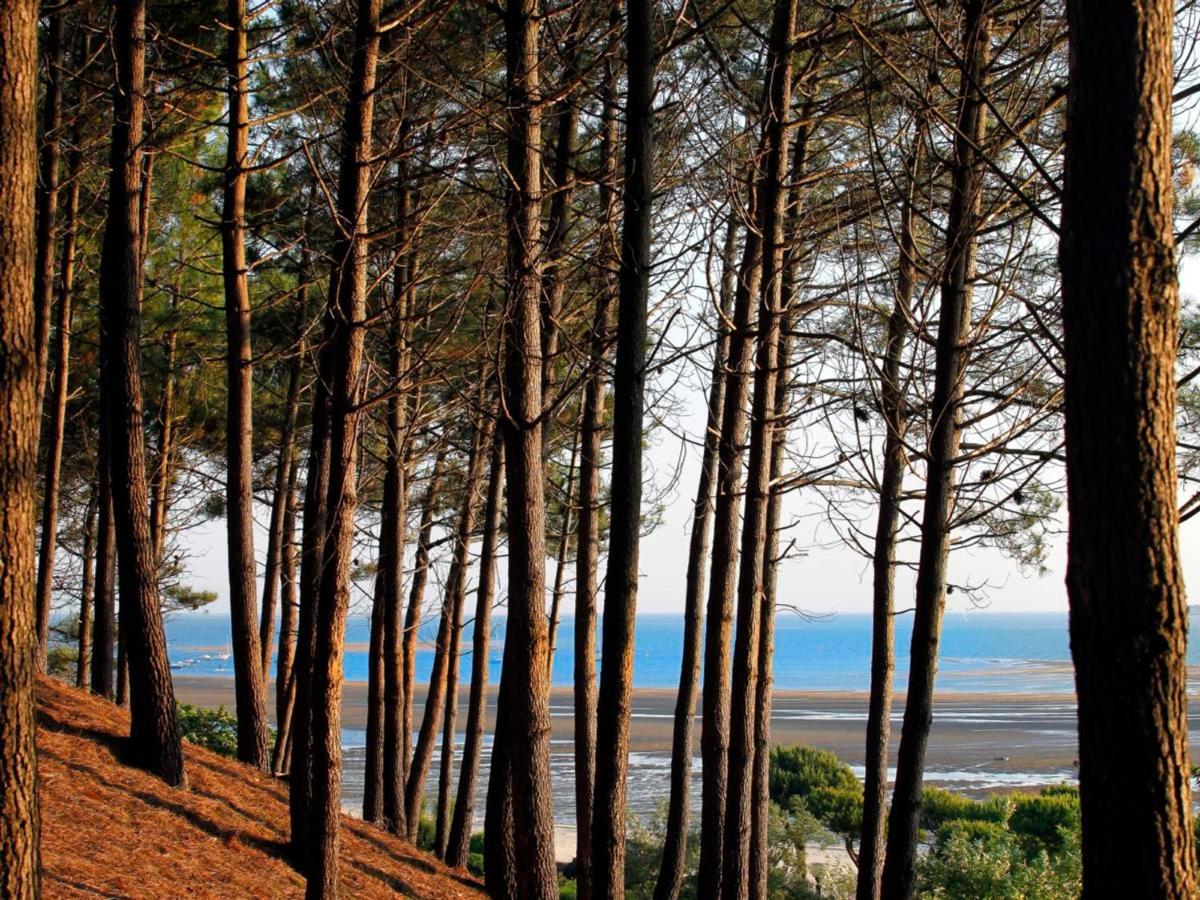 Arcachon Centre: Beau T2 53M² Avec Terrasse, Parking, Ascenseur, Proche Plage Et Commerces - Fr-1-420-93 מראה חיצוני תמונה